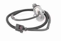 Article Picture