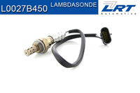 Lambdasonde