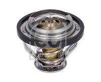 Thermostat, Kühlmittel