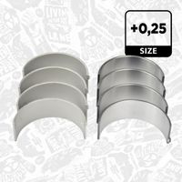 SET LAGAR BIELA