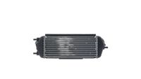 Thumbnail - Intercooler, inlaatluchtkoeler - CI695000S - MAHLE