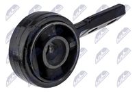 тампон, носач