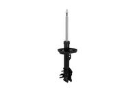 Article Picture