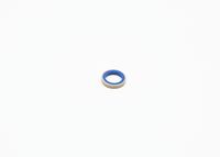 Blīve, Pamatlukturu rāmis