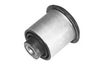 Mounting, control/trailing arm