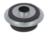 Federbeinstützlager