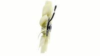 Thumbnail - Koelventilatorwiel - CFW95000P - MAHLE