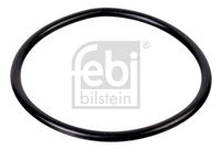 Dichtring, Achsschenkel