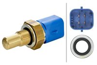 Sensor, Kühlmitteltemperatur