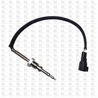 Sensor, Abgastemperatur