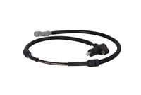 Sensor, Raddrehzahl Sensor, Raddrehzahl