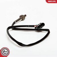 Article Picture