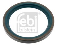 Wellendichtring, Radnabe