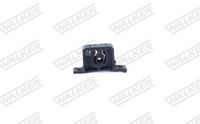 Halter, Abgasanlage