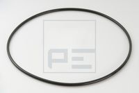 INEL DE ETANșARE BUTUC ROATă (CUTIE DE VITEZE PLANETARă)