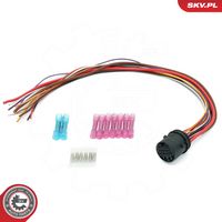 Article Picture