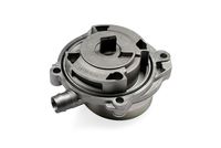 HEPU Onderdrukpomp, remsysteem 1