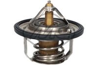 термостат, охладителна течност