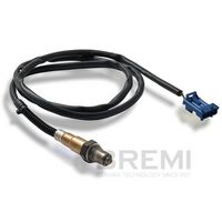 ламбда-сонда