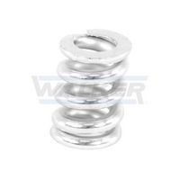 Article Picture