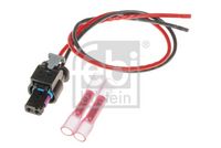 Stecker