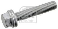 Schraube, Bremssattel