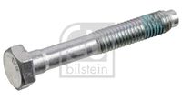Schraube, Spannrolle