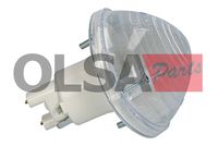 OLSA Aftermarket Knipperlicht 1