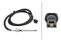Sensor, Abgastemperatur