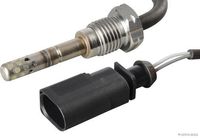 Sensor, Abgastemperatur