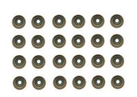 Dichtungssatz, Ventilschaft