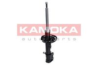 Article Picture