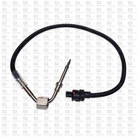 Sensor, Abgastemperatur