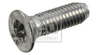 Schraube, Bremsscheibe