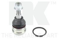 Trag-/Führungsgelenk