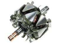 Rotor, alternator