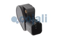 Sensor, Fahrpedalstellung Sensor, Fahrpedalstellung