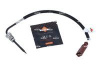 Sensor, Abgastemperatur