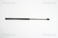 Gasfeder, Koffer-/Laderaum