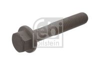 Riemenscheibenschraube