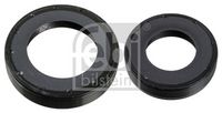 Wellendichtringsatz, Differential