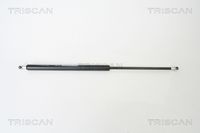 Gasfeder, Koffer-/Laderaum