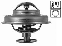 Thermostat, Kühlmittel