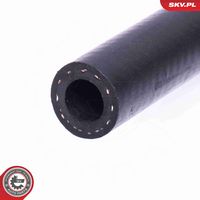 Article Picture