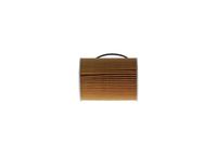 Article Picture