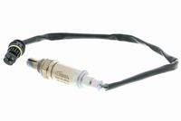 ламбда-сонда