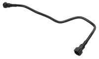Article Picture