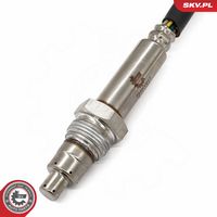 Article Picture
