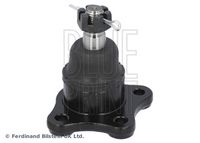 Trag-/Führungsgelenk