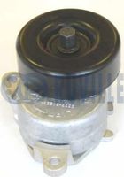 Intinzator curea, curea distributie RUVILLE, Cod: 541898